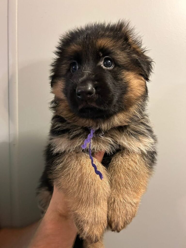 48e5bec8 8106 48d7 8107 0ab624aca49e