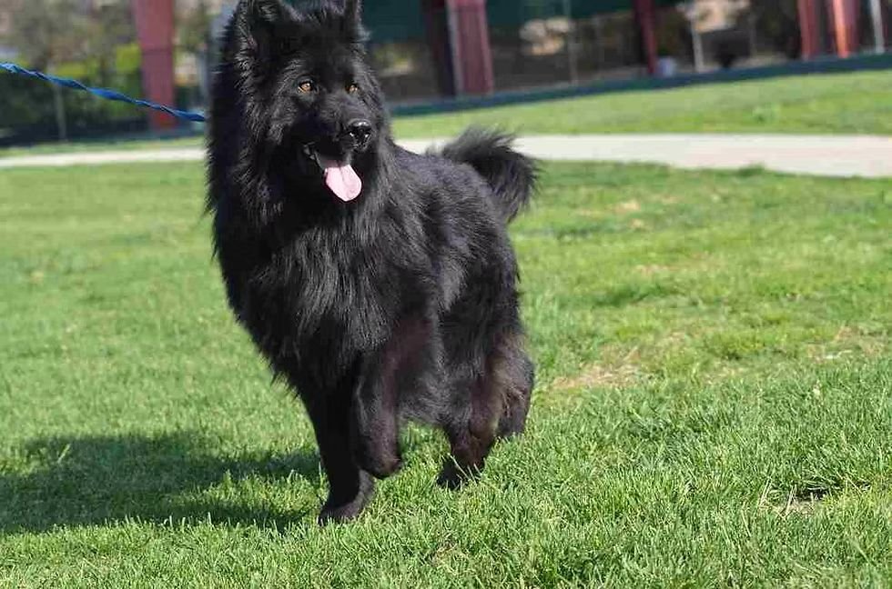 526460a7 1db3 4c95 a836 50d3c768834c