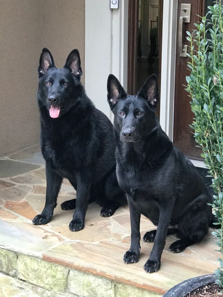 60674c80 8b82 46d6 af67 7af31898d3ad