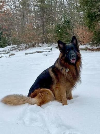 61368e0a 6d82 4c8b 8c2f d8e1a33d4246 61368e0a 6d82 4c8b 8c2f d8e1a33d4246