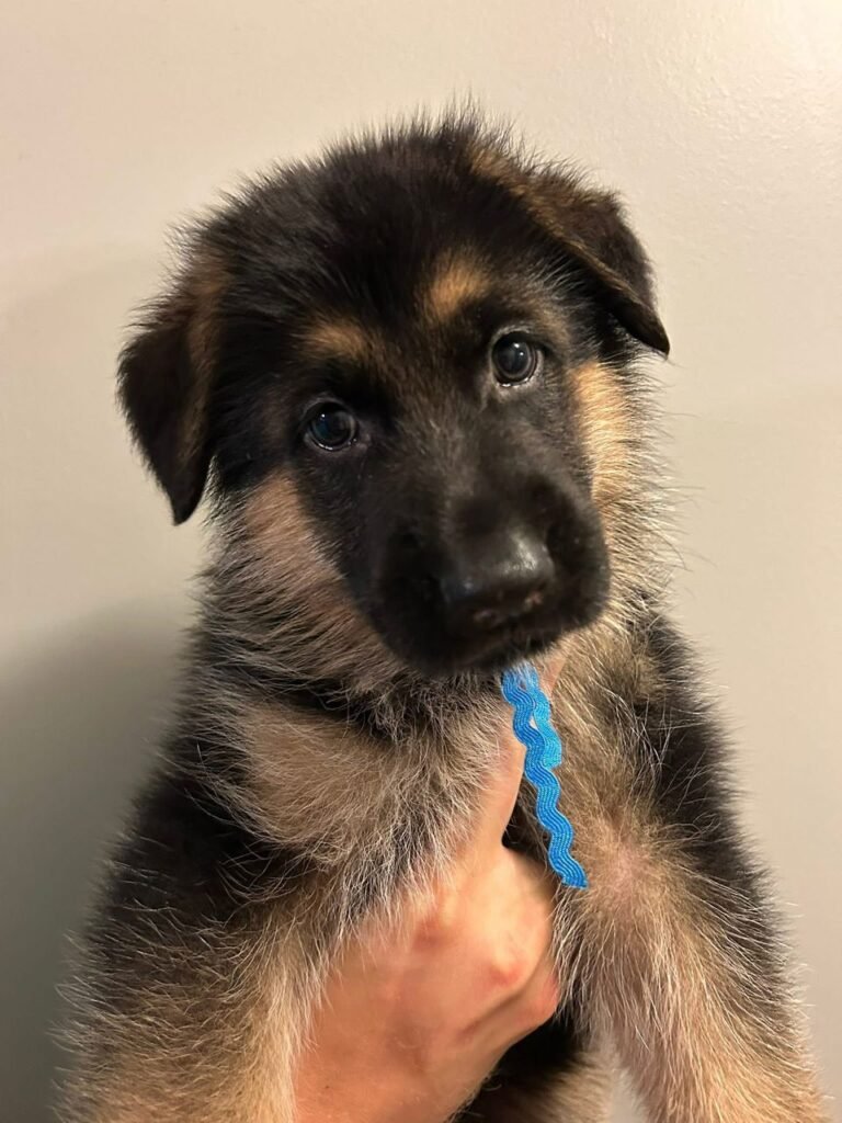 68a3e04e e23b 47be 86c0 bbf28f40e895