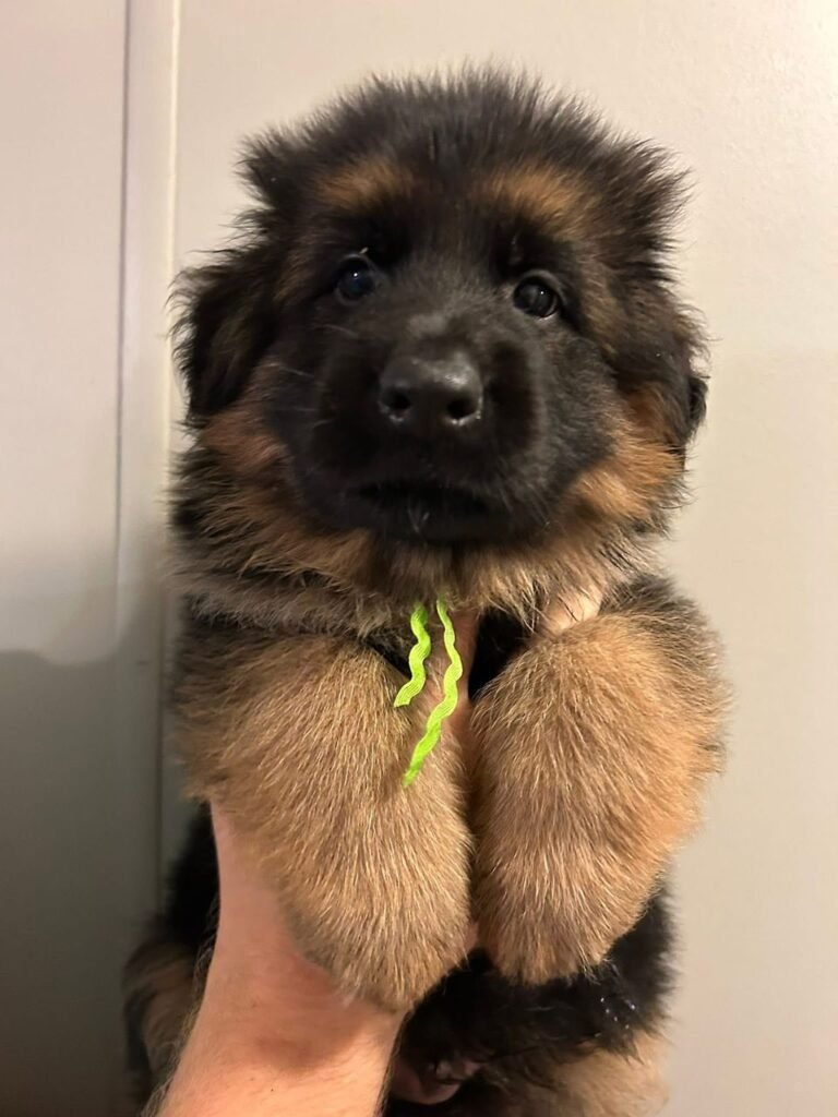 991df1cb 05c6 4e6f 8c1c 0b00c45c70ef