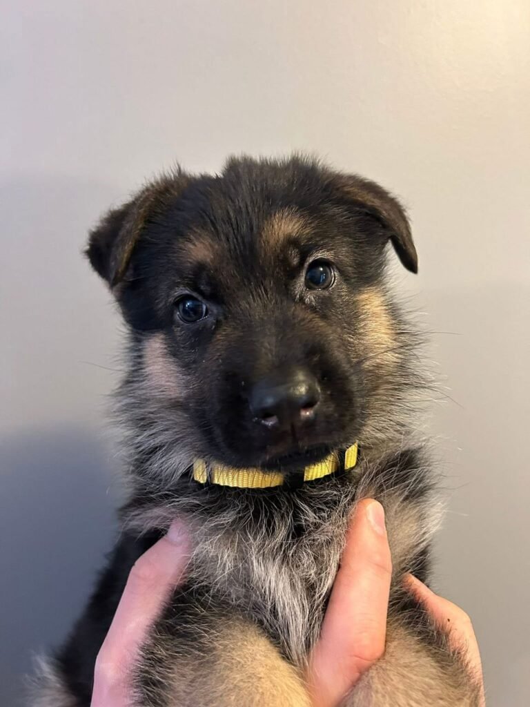 aa391942 406c 4488 95a2 93a3e64715eb