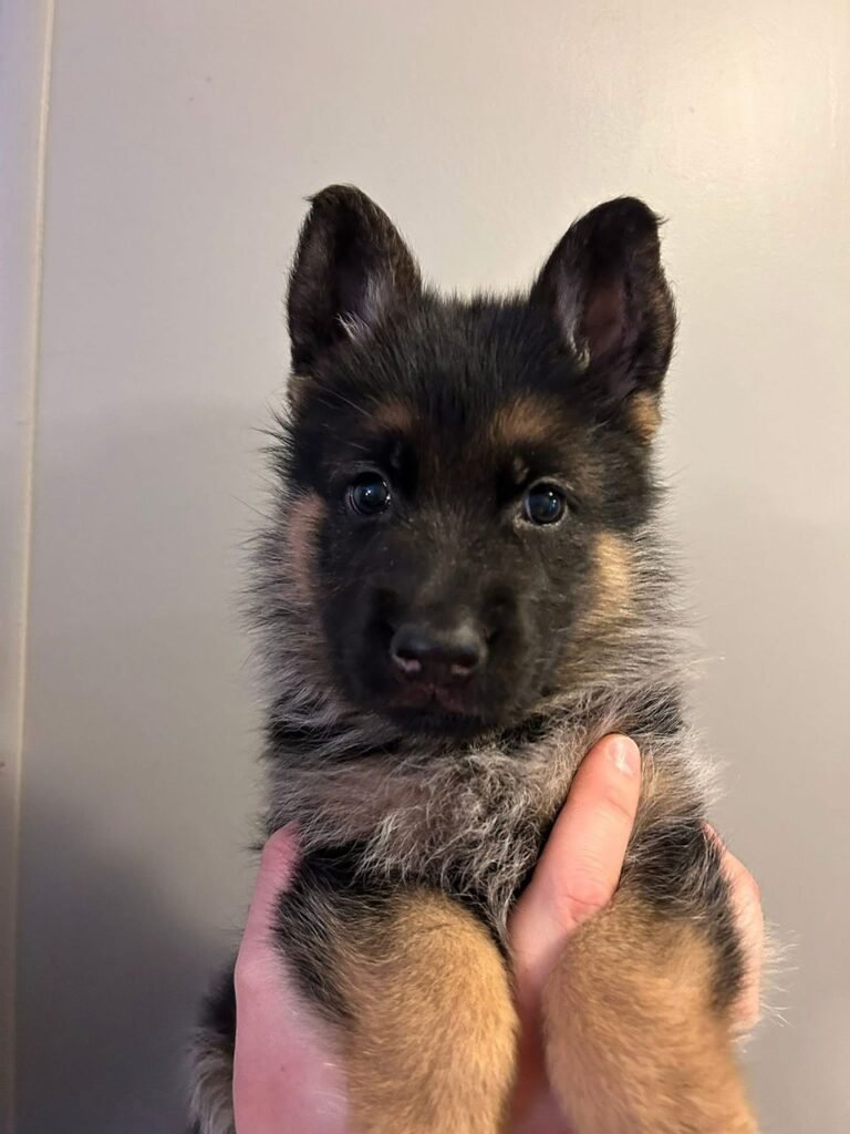 da722f0c 200d 4c42 9a98 397813b853d4