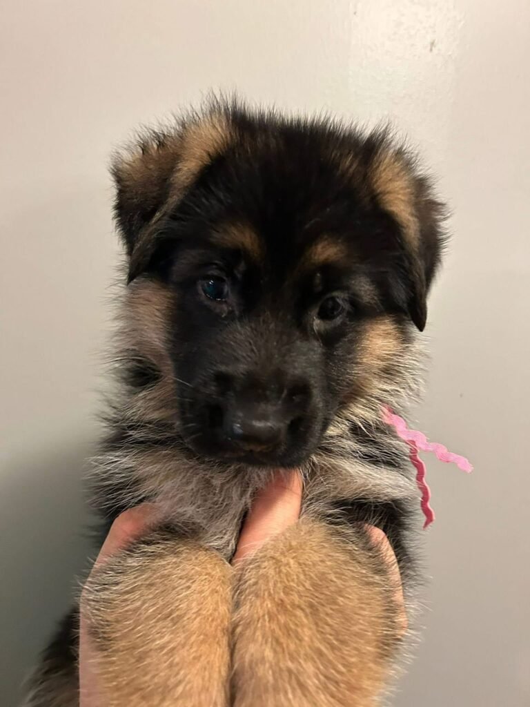 dfea1890 a753 4282 9211 0e3277351c34