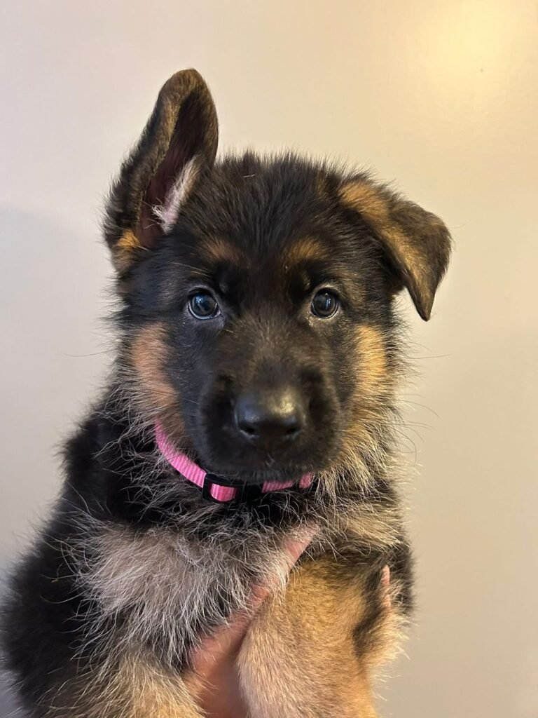 f103660b 4706 4daa bc80 9b23ef81e919